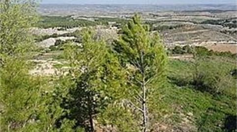 Foto 3 de Casa o chalet en venta en Avenida Virreina, 72, Chinchón, Madrid