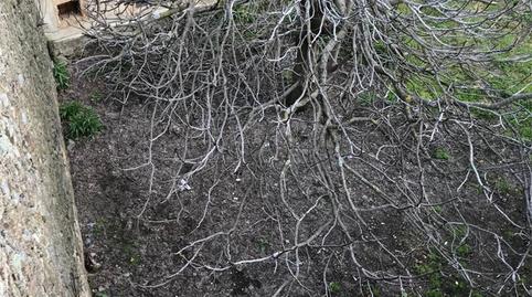Photo 5 of Single-family semi-detached for sale in Calle General Aranda, 13, Santibáñez el Alto, Cáceres