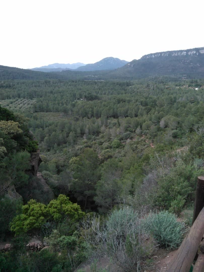 Exterior view of Non-constructible Land for sale in Mont-roig del Camp