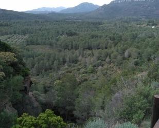 Vista exterior de No Urbanitzable en venda en Mont-roig del Camp