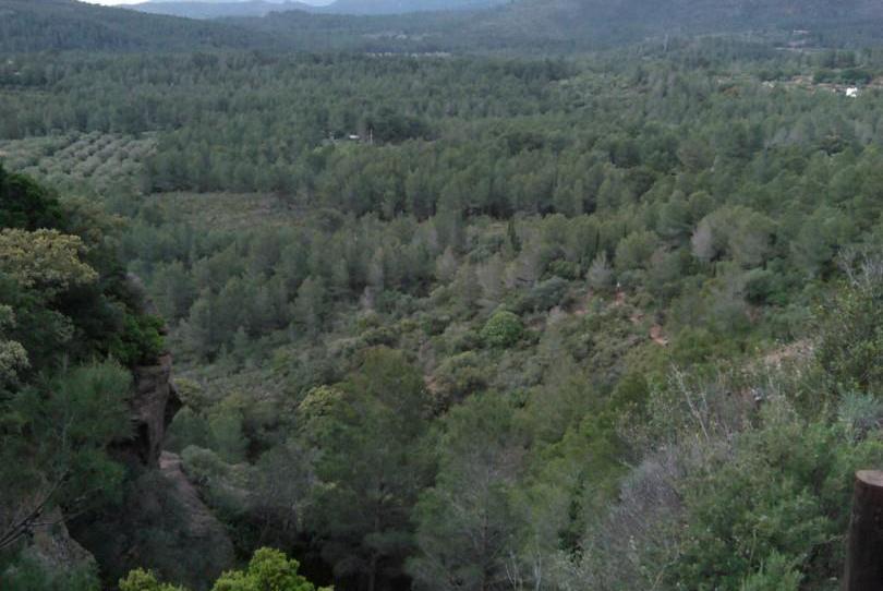 No Urbanitzable en venda a Poble, Tarragona - imatge 1 Foto 1 de No Urbanitzable en venda a Poble, Tarragona