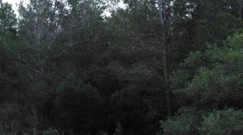 No Urbanitzable en venda a Poble, Tarragona - imatge 2 Foto 2 de No Urbanitzable en venda a Poble, Tarragona