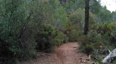 No Urbanitzable en venda a Poble, Tarragona - imatge 4 Foto 4 de No Urbanitzable en venda a Poble, Tarragona