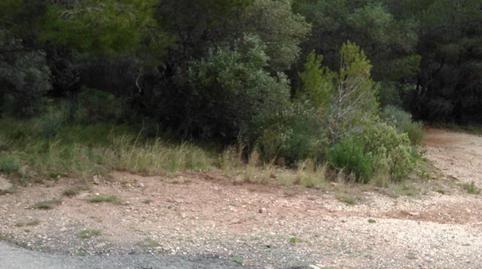 No Urbanitzable en venda a Poble, Tarragona - imatge 5 Foto 5 de No Urbanitzable en venda a Poble, Tarragona