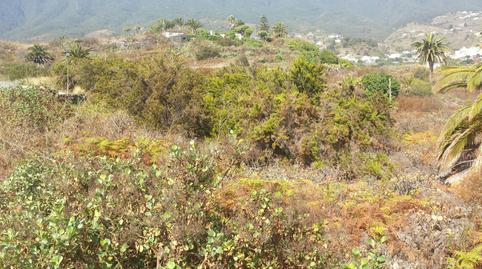 Foto 5 de Terreno en venta en Urbanización Residencial Palmasol Ll, Calle Los Ro, 38, Breña Alta, Santa Cruz de Tenerife