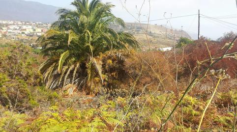 Foto 3 de Terreno en venta en Urbanización Residencial Palmasol Ll, Calle Los Ro, 38, Breña Alta, Santa Cruz de Tenerife