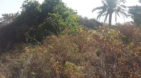 Foto 4 de Terreno en venta en Urbanización Residencial Palmasol Ll, Calle Los Ro, 38, Breña Alta, Santa Cruz de Tenerife