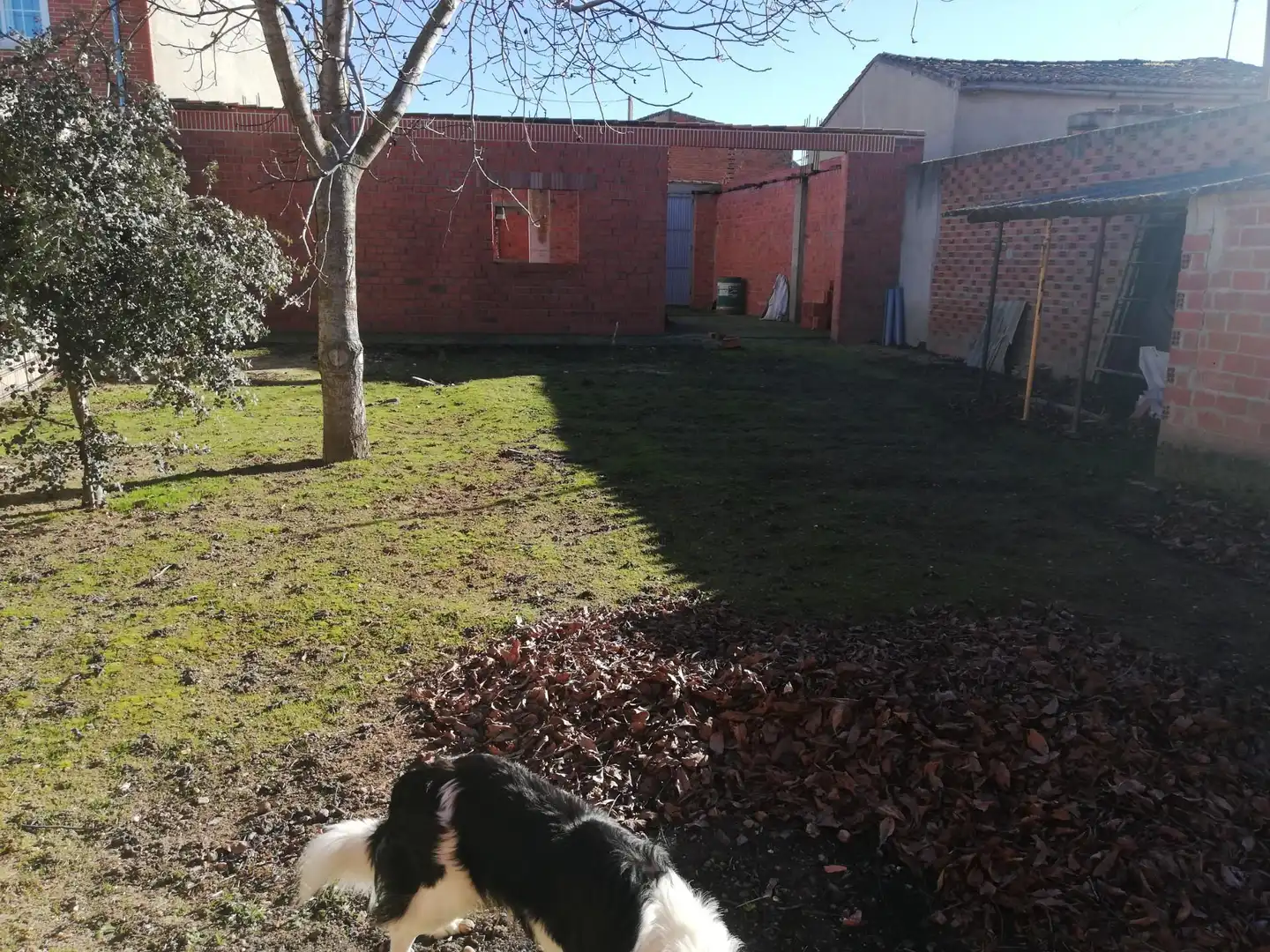 Jardín de Terreno en venta en Cantalpino