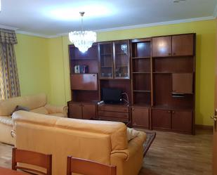 Living room of Flat for sale in Almazán  with Terrace and Balcony