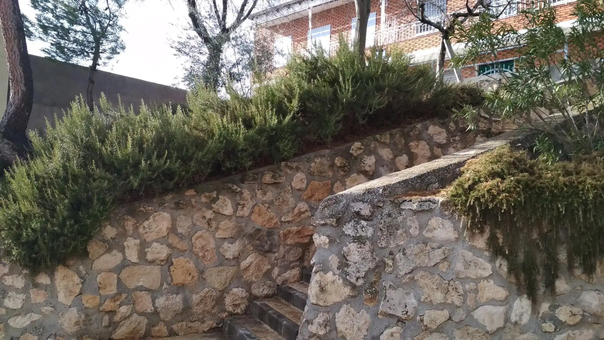 Jardín de Terreno en venta en El Romeral