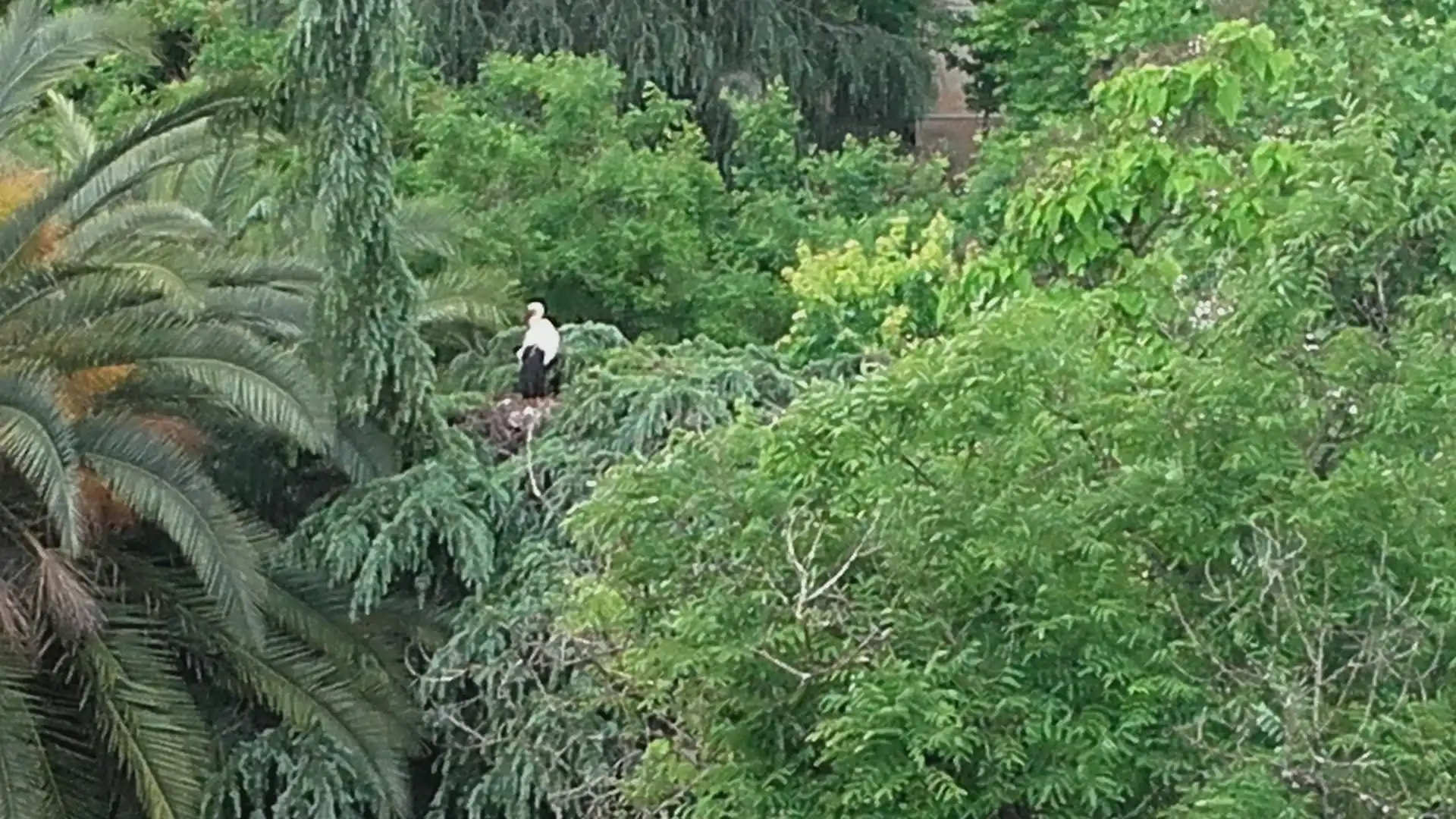 Pis en venda a Avenida de España, 11, Casco Antiguo Jardí de Pis en venda en Cáceres Capital amb Aire condicionat, Terrassa i Balcó