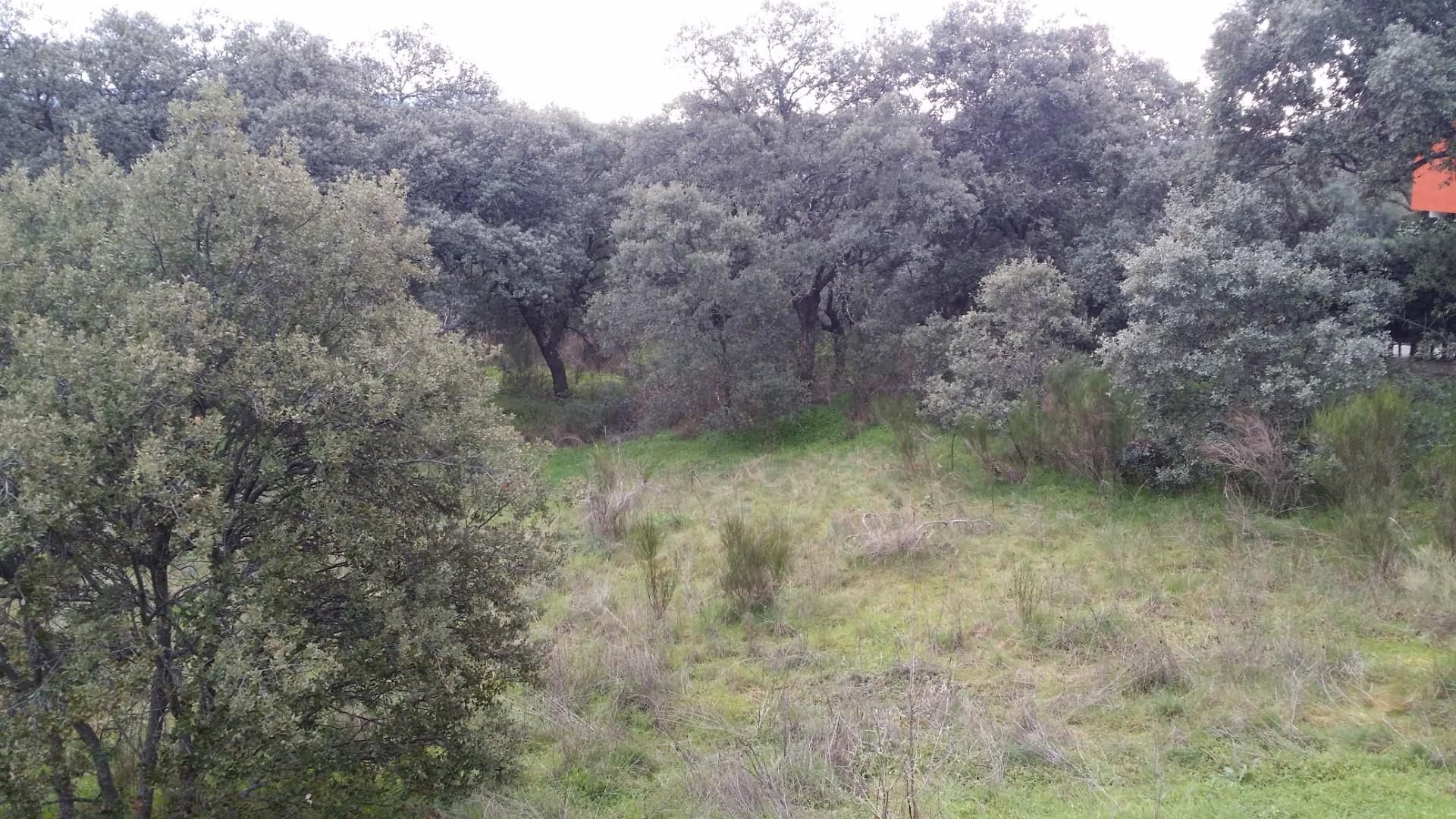 Exterior view of Land for sale in El Escorial