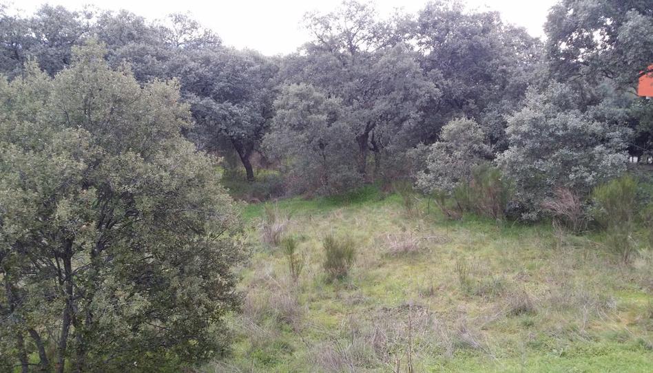Photo 1 of Land for sale in Avenida Cierros, 67, Las Zorreras - Monte Encinar, Madrid