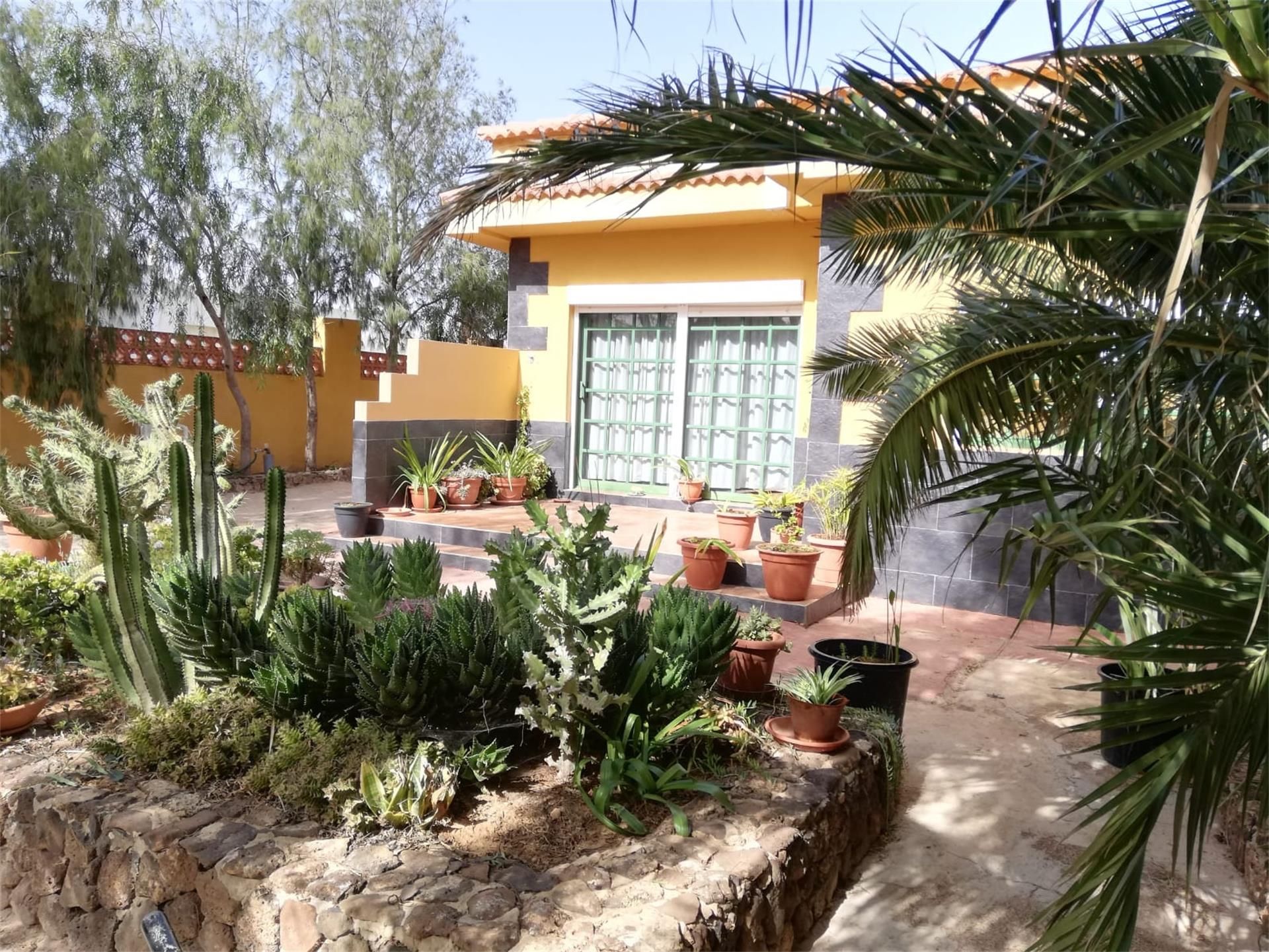 Jardí de Casa o xalet en venda en La Oliva amb Aire condicionat, Jardí privat i Terrassa