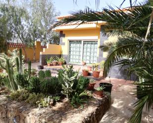 Jardí de Casa o xalet en venda en La Oliva amb Aire condicionat, Terrassa i Piscina