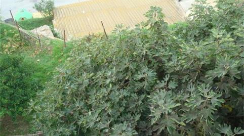 Photo 3 of Flat for sale in Calle Rambla de Benito, 13, Abarán, Murcia