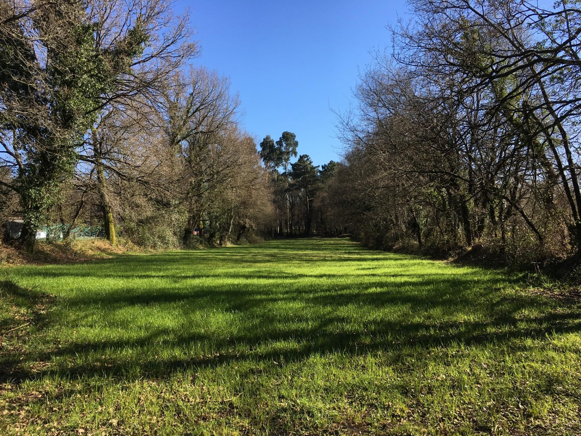 Land for sale in Toques