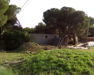 Land for sale in Medina del Campo