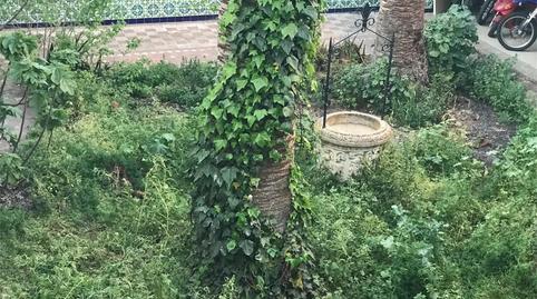 Single-family semi-detached for sale in Talavera la Real, Badajoz - image 2 Photo 2 of Single-family semi-detached for sale in Talavera la Real, Badajoz