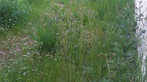 Photo 4 of Constructible Land for sale in Plaza San Martino, 11, Garrafe de Torío, León