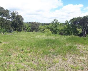 Land for sale in Urbanització Ducat Montseny, Sant Feliu de Buixalleu