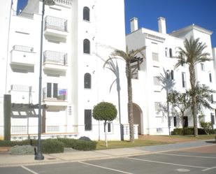 Vista exterior de Planta baixa en venda en Torre-Pacheco amb Aire condicionat, Terrassa i Piscina
