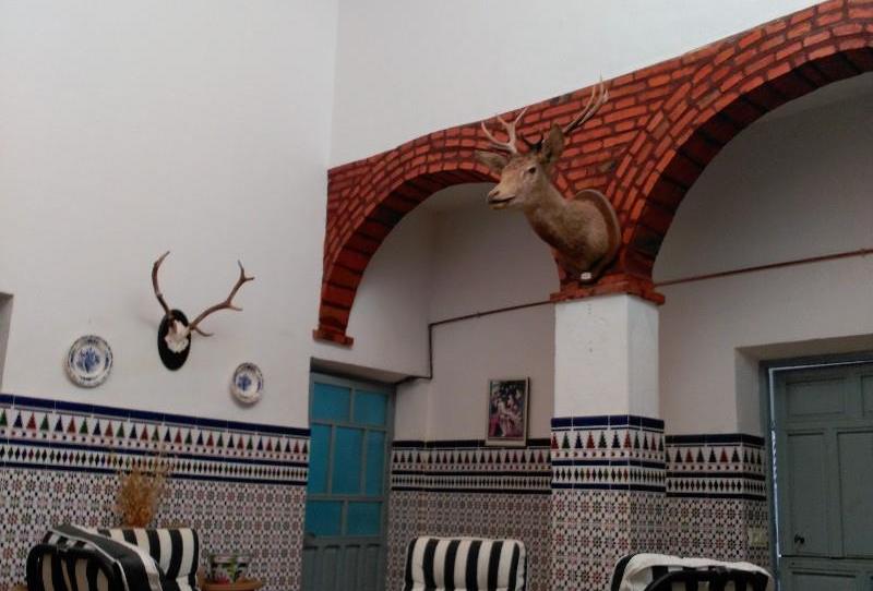 Single-family semi-detached for sale in Calle Tahona, 4, Aldea del Rey, Ciudad Real - image 1 Photo 1 of Single-family semi-detached for sale in Calle Tahona, 4, Aldea del Rey, Ciudad Real