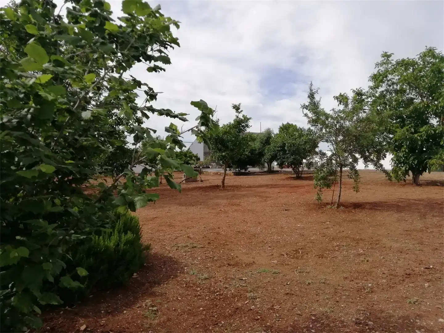 Piso en venta en Calle Halcón, 28, Almendralejo