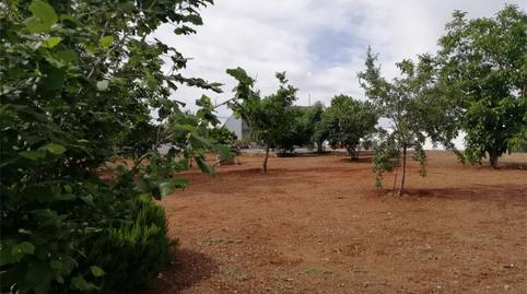 Photo 5 of Flat for sale in Calle Halcón, 28, Almendralejo, Badajoz