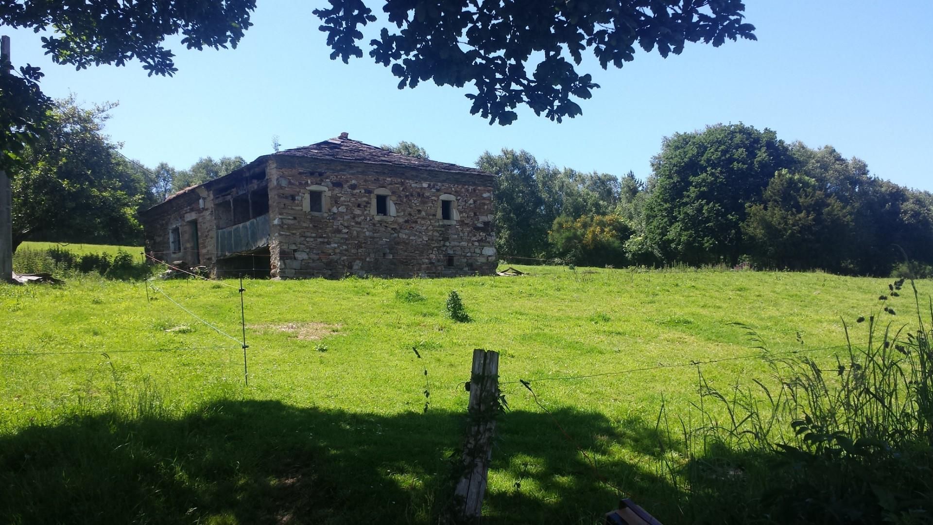 Exterior view of Planta baja for sale in Santa Eulalia de Oscos  with Private garden, Terrace and Washing machine