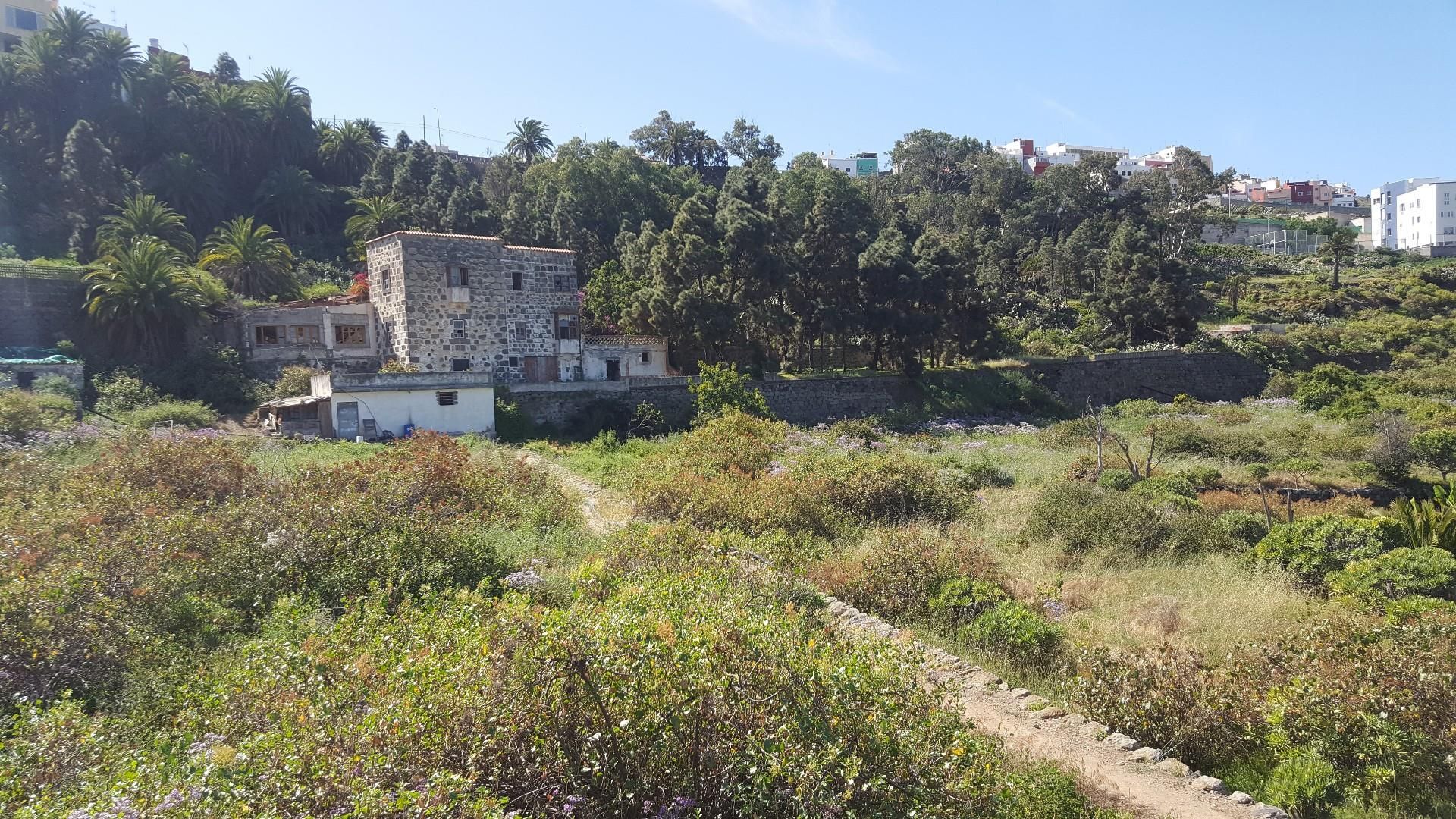 Exterior view of Land for sale in Arucas