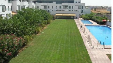 Photo 5 of Flat for sale in Daimiel, Ciudad Real