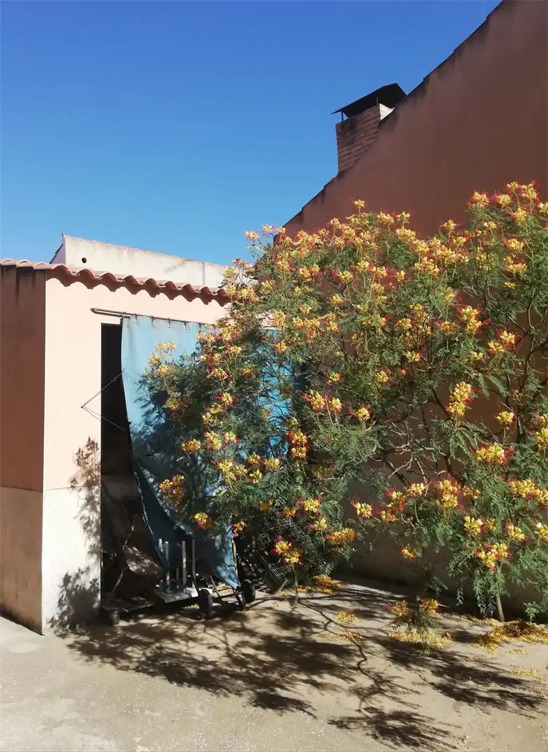 Garden of Flat for sale in Lillo  with Heating, Terrace and Storage room