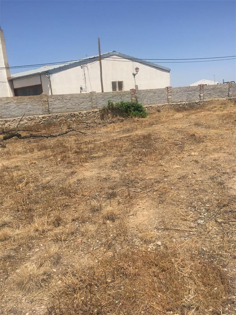 Land for sale in Avenida Gregorio Artal Molinos, 54, Letux