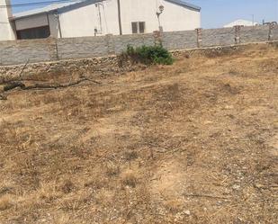 Land for sale in Avenida Gregorio Artal Molinos, 54, Letux