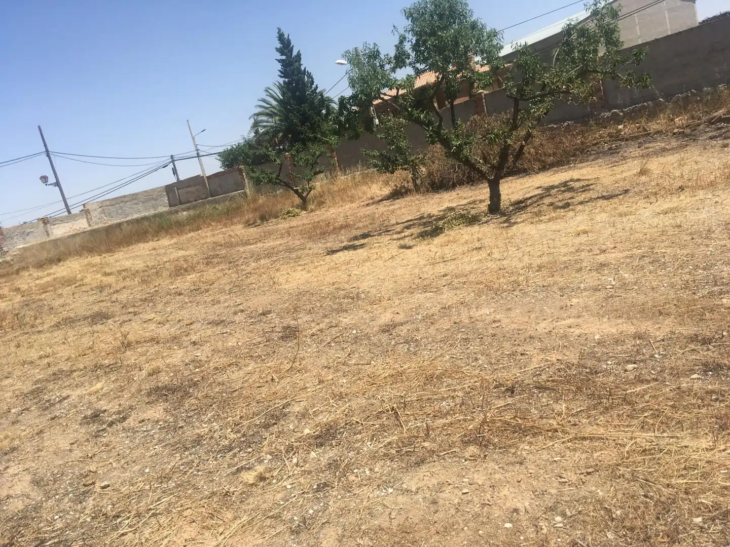 Terreno en venta en Avenida Gregorio Artal Molinos, 54, Letux