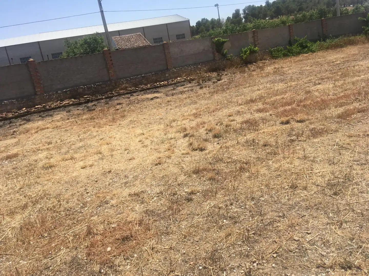 Terreno en venta en Avenida Gregorio Artal Molinos, 54, Letux