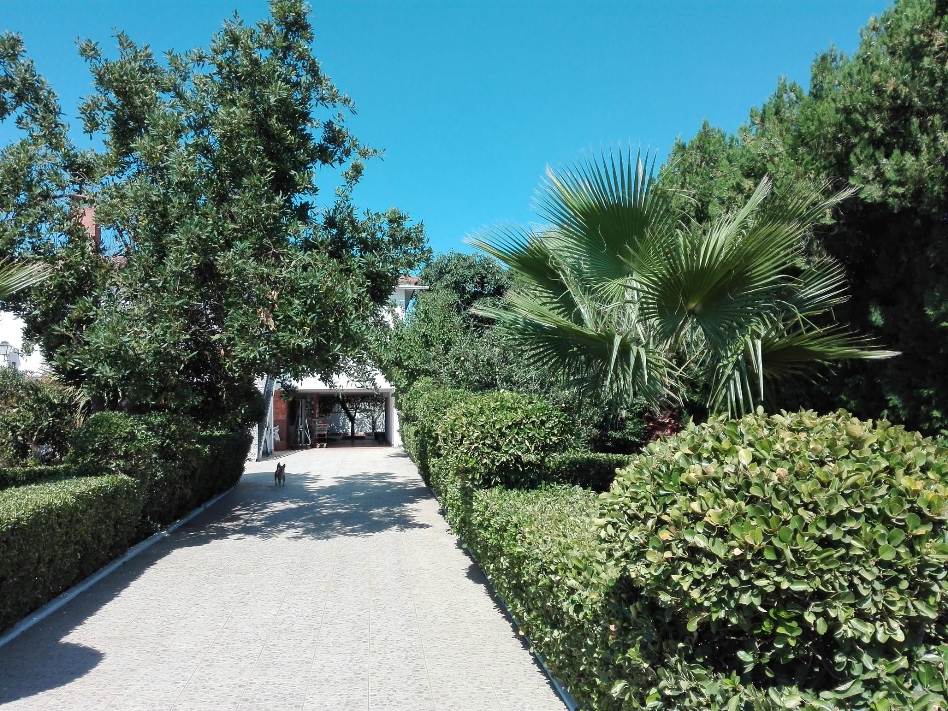 Jardí de Casa o xalet en venda en Sanlúcar la Mayor amb Aire condicionat, Terrassa i Piscina