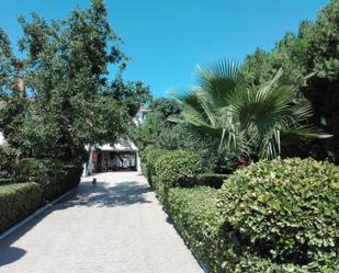 Jardí de Casa o xalet en venda en Sanlúcar la Mayor amb Aire condicionat, Terrassa i Piscina