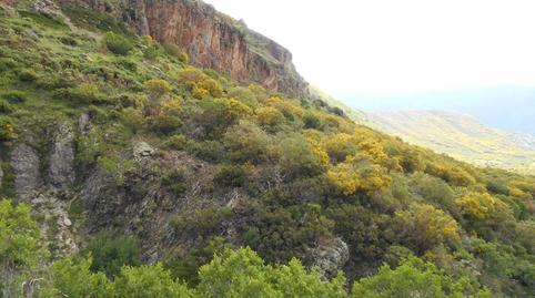 Finca rústica en venda a Calle Real, 4, Velilla del Río Carrión , Palencia - imatge 2 Foto 2 de Finca rústica en venda a Calle Real, 4, Velilla del Río Carrión , Palencia
