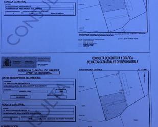 Constructible Land for sale in Peñaranda de Bracamonte