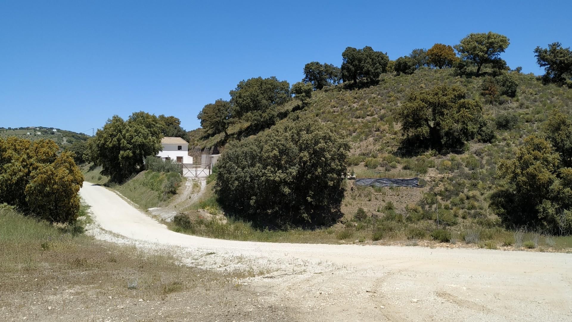 Vista exterior de Finca rústica en venda en Alhama de Granada amb Jardí privat, Terrassa i Piscina