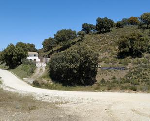 Vista exterior de Finca rústica en venda en Alhama de Granada amb Terrassa i Piscina