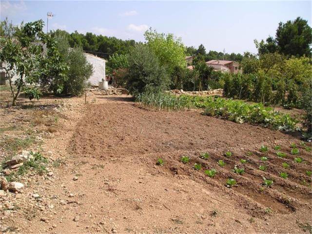 Casa adosada en Venta en Carrer Alió, 11 en Cabra del Camp