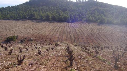 Photo 2 of Land for sale in Zarzadilla de Totana, Murcia