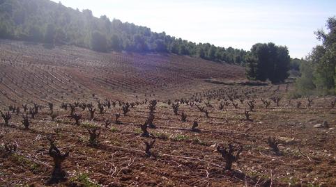 Photo 3 of Land for sale in Zarzadilla de Totana, Murcia