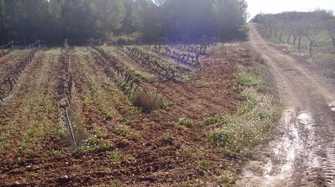 Photo 4 of Land for sale in Zarzadilla de Totana, Murcia