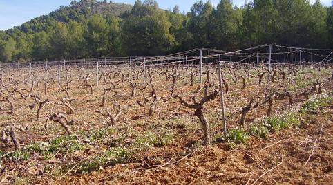 Photo 5 of Land for sale in Zarzadilla de Totana, Murcia