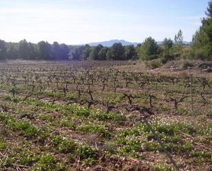 Vista exterior de Terreny en venda en Lorca