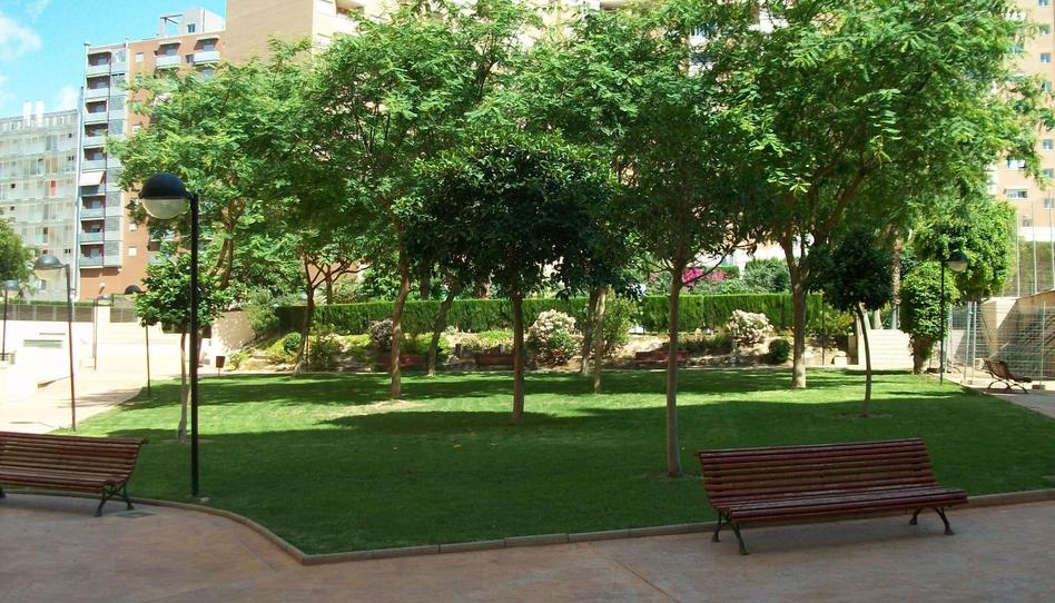 Photo 1 of Flat to rent in Avenida Cardenal Francisco Álvarez, 10, Paus - Poligono San Blas, Alicante